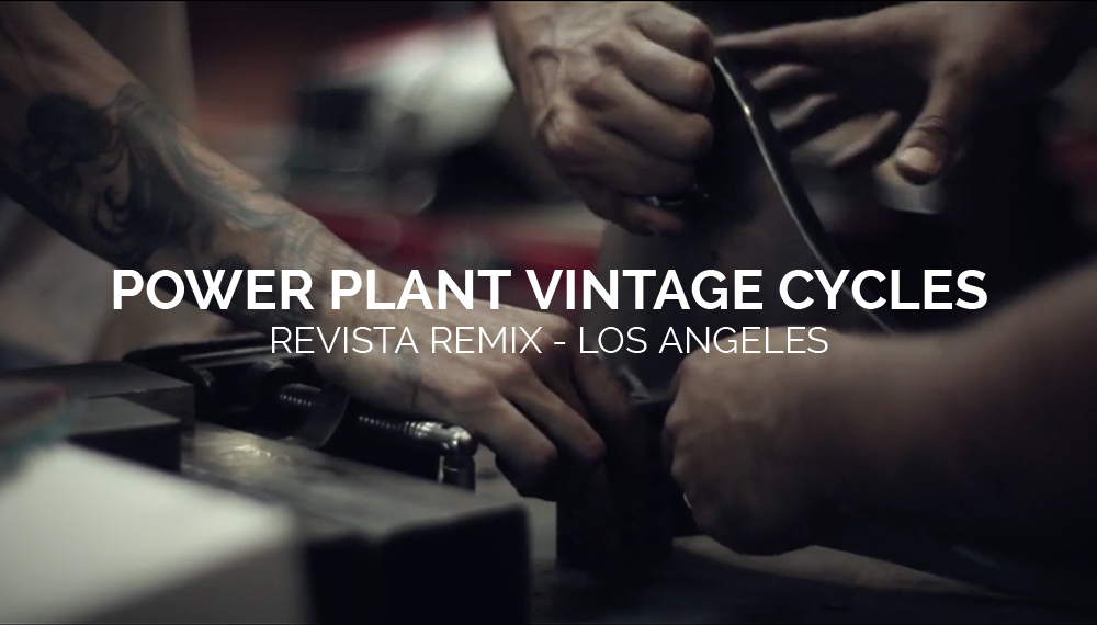 POWER PLANT VINTAGE CYCLES
